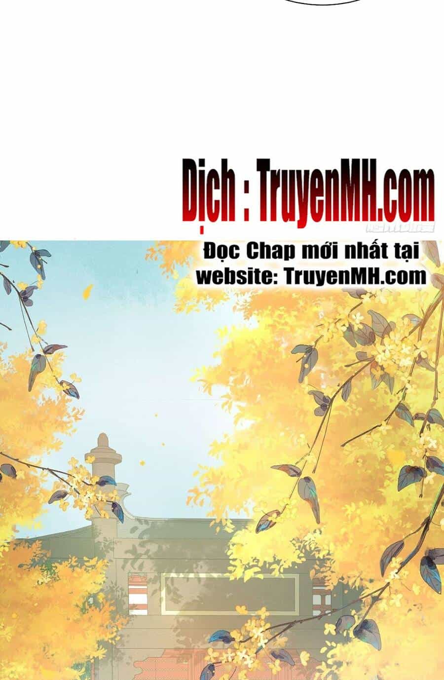 Kiều Mỵ Phu Lang, Tại Tuyến Lục Trà - Chương 61 - ảnh 9