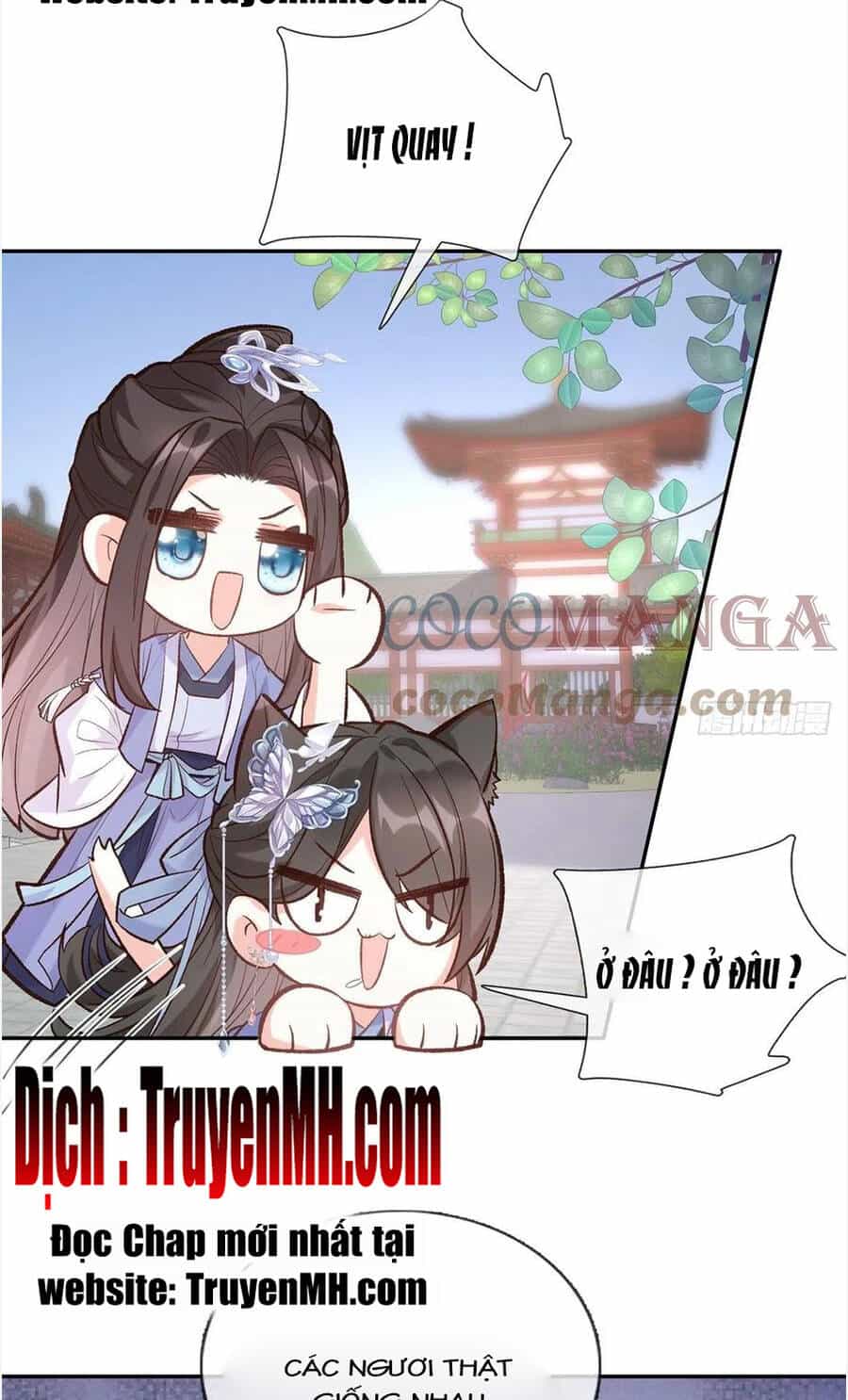 Kiều Mỵ Phu Lang, Tại Tuyến Lục Trà - Chương 81 - ảnh 12