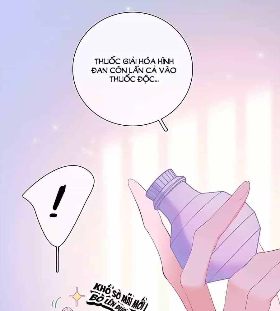 Kiều Nhi Hư Quá Nha - Chương 8 - ảnh 14