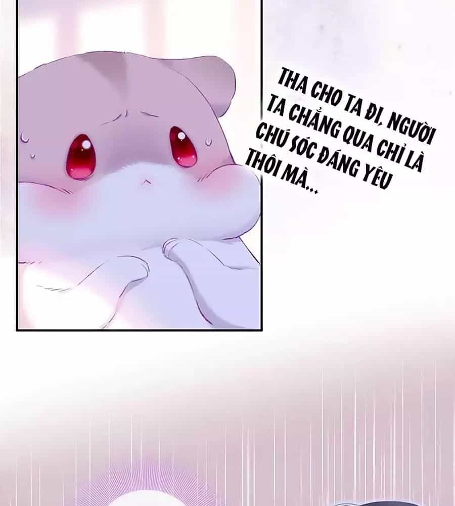 Kiều Nhi Hư Quá Nha - Chương 8 - ảnh 3