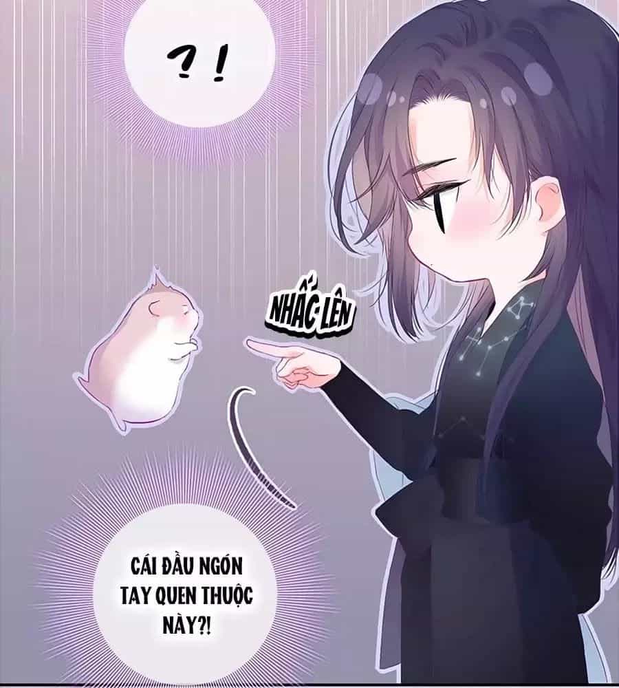 Kiều Nhi Hư Quá Nha - Chương 8 - ảnh 4