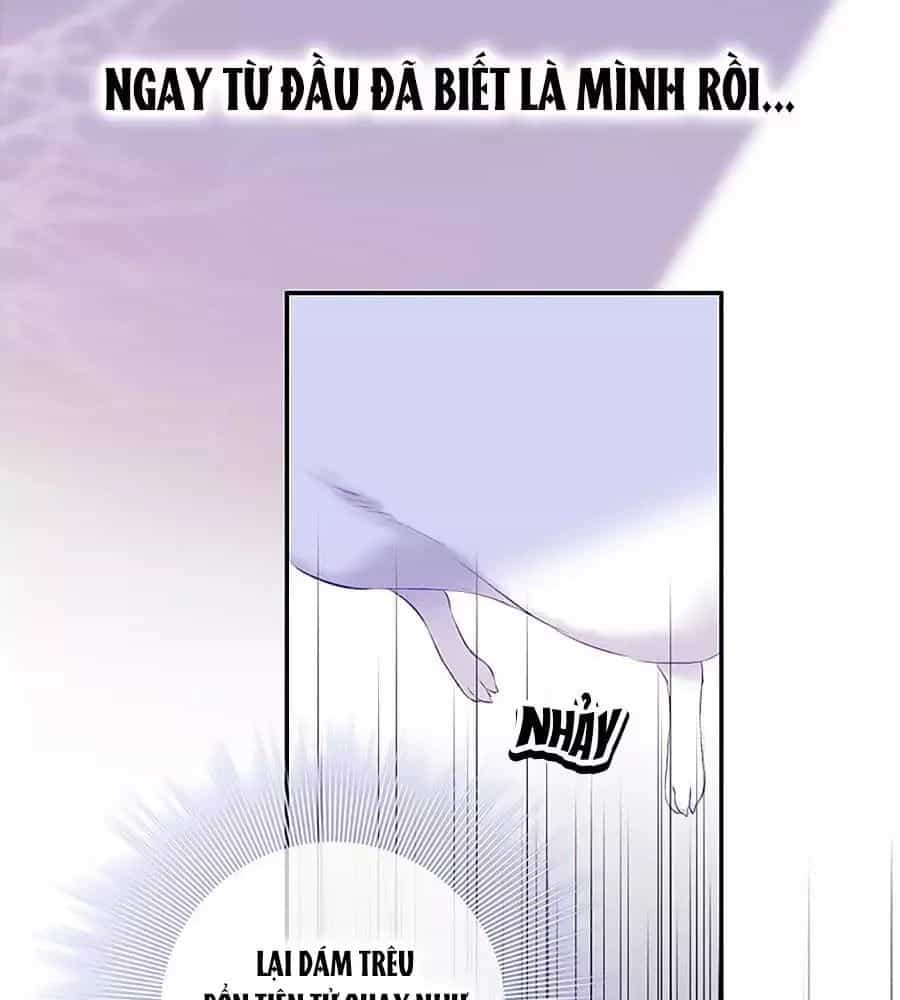 Kiều Nhi Hư Quá Nha - Chương 8 - ảnh 60