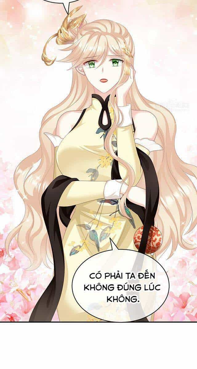 Kiều Phu Có Hỉ - Chương 40 - ảnh 4