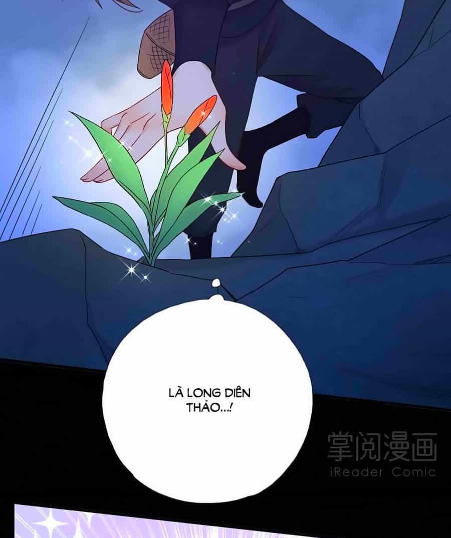 Kiêu Sủng Y Phi - Chương 8 - ảnh 26