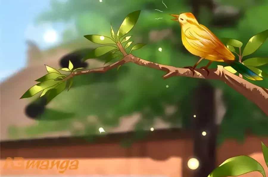 Kiêu Sủng Y Phi - Chương 130 - ảnh 25