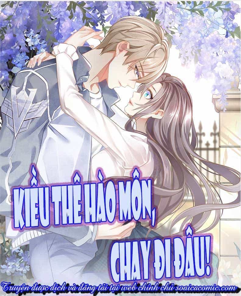 Kiều Thê Hào Môn Chạy Đi Đâu - Chương 6 - ảnh 1