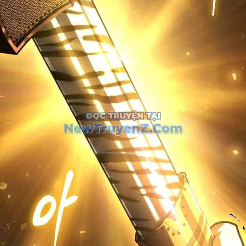 Kim Chiến Sĩ: Hành Trình Xây Dựng Đặc Tính - Chương 39 - ảnh 282