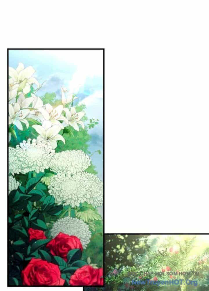Kim Chiến Sĩ: Hành Trình Xây Dựng Đặc Tính - Chương 46 - ảnh 100