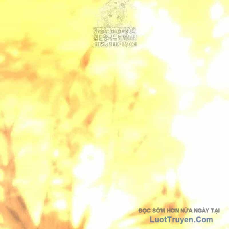 Kim Chiến Sĩ: Hành Trình Xây Dựng Đặc Tính - Chương 57 - ảnh 159
