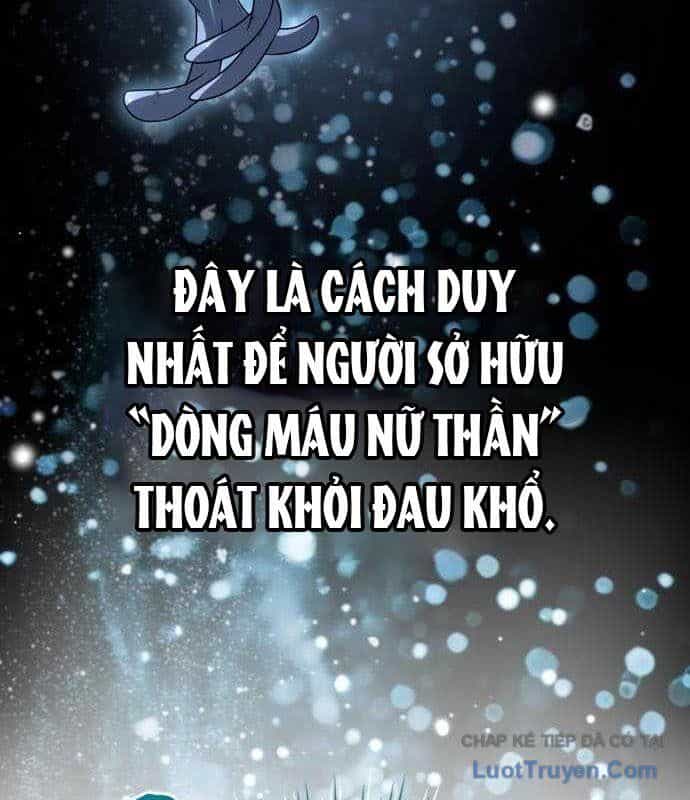 Kim Chiến Sĩ: Hành Trình Xây Dựng Đặc Tính - Chương 67 - ảnh 181