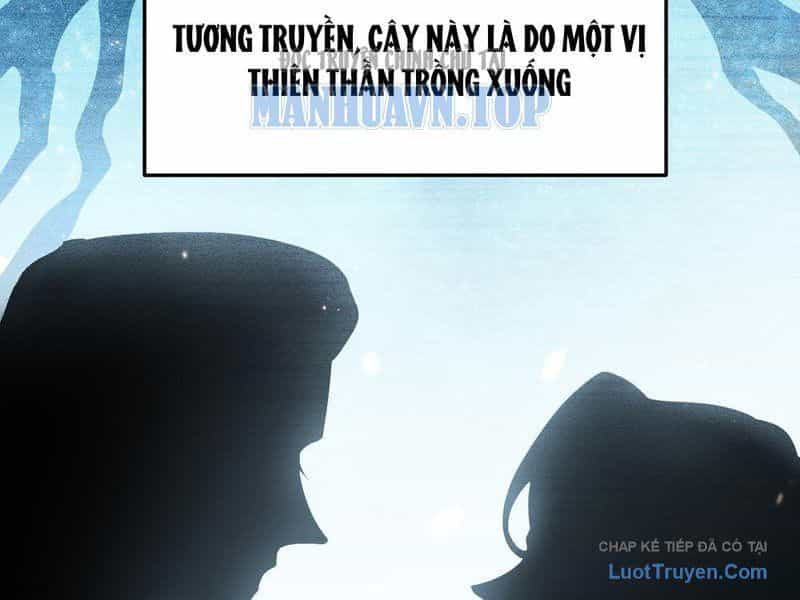 Kim Đan To Bằng Hằng Tinh! Ngươi Gọi Đây Mà Là Tu Tiên Á?! - Chương 13 - ảnh 5