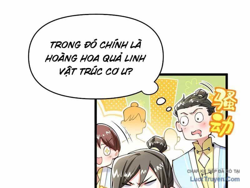 Kim Đan To Bằng Hằng Tinh! Ngươi Gọi Đây Mà Là Tu Tiên Á?! - Chương 15 - ảnh 40