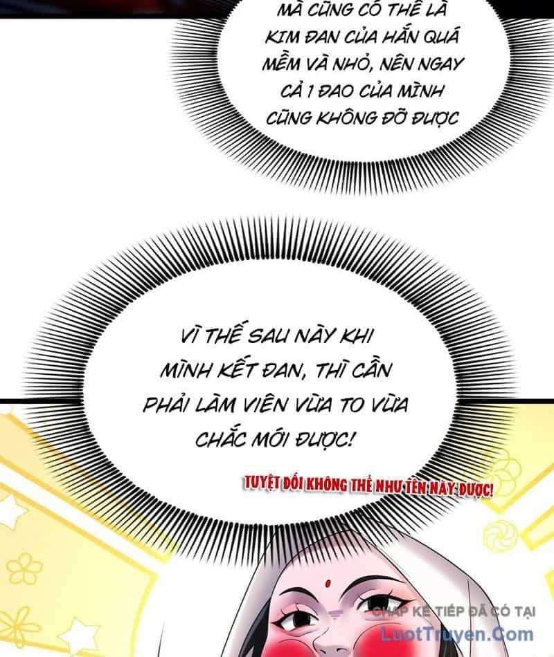 Kim Đan To Bằng Hằng Tinh! Ngươi Gọi Đây Mà Là Tu Tiên Á?! - Chương 17 - ảnh 12