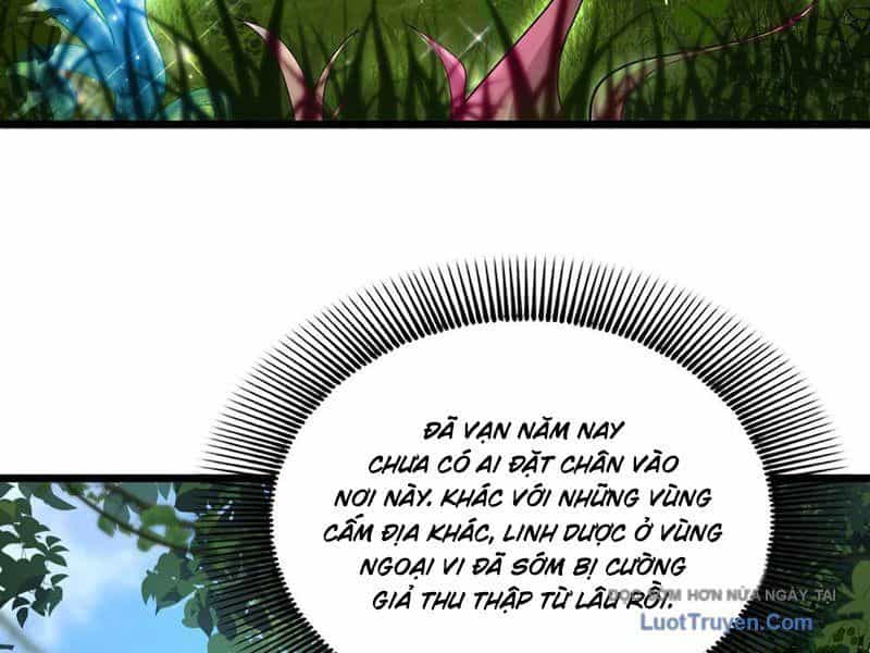 Kim Đan To Bằng Hằng Tinh! Ngươi Gọi Đây Mà Là Tu Tiên Á?! - Chương 8 - ảnh 51