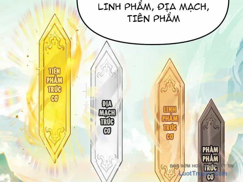 Kim Đan To Bằng Hằng Tinh! Ngươi Gọi Đây Mà Là Tu Tiên Á?! - Chương 9 - ảnh 12