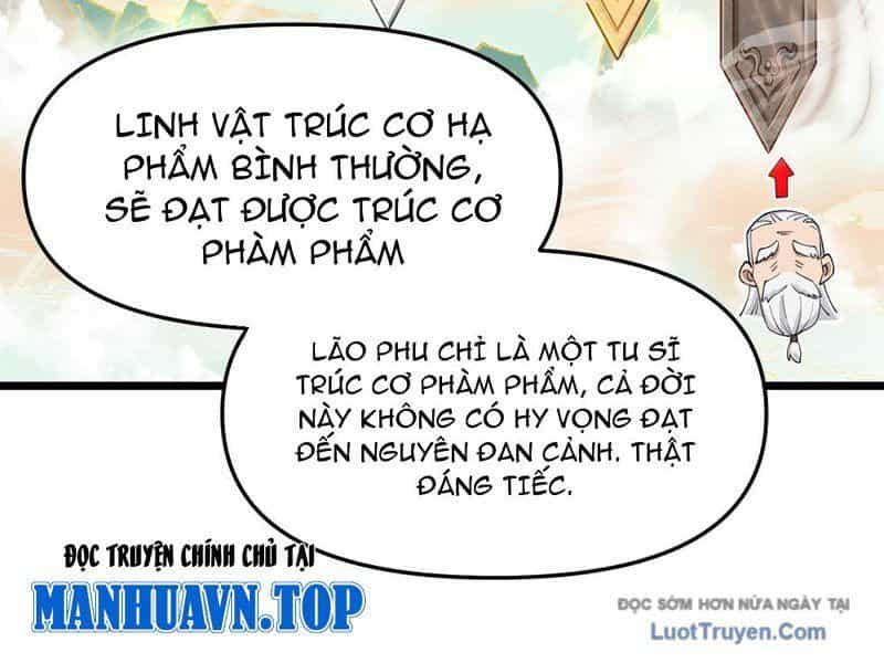 Kim Đan To Bằng Hằng Tinh! Ngươi Gọi Đây Mà Là Tu Tiên Á?! - Chương 9 - ảnh 13