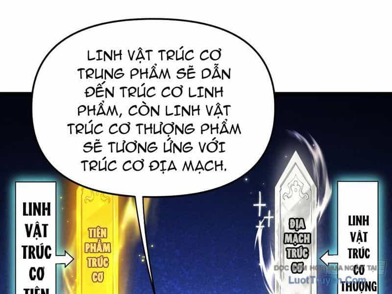 Kim Đan To Bằng Hằng Tinh! Ngươi Gọi Đây Mà Là Tu Tiên Á?! - Chương 9 - ảnh 14