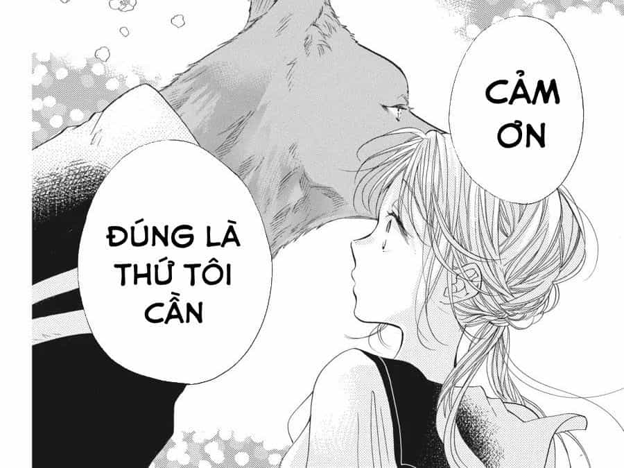 Kimi To Koete Koi Ni Naru - Chương 1 - ảnh 11
