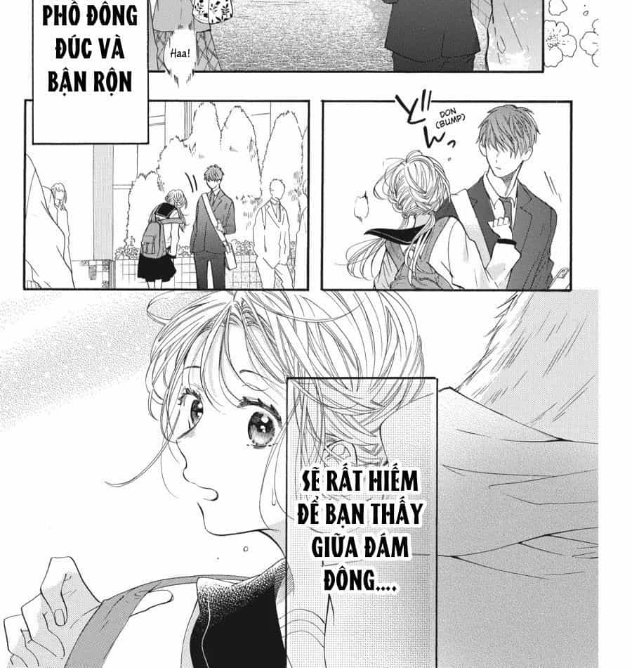 Kimi To Koete Koi Ni Naru - Chương 1 - ảnh 2