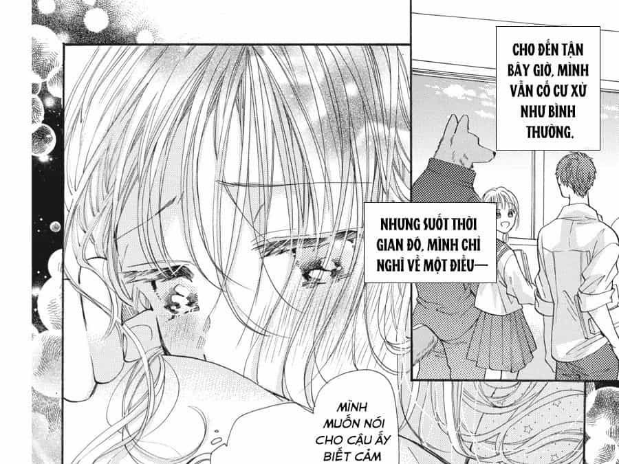 Kimi To Koete Koi Ni Naru - Chương 8 - ảnh 25