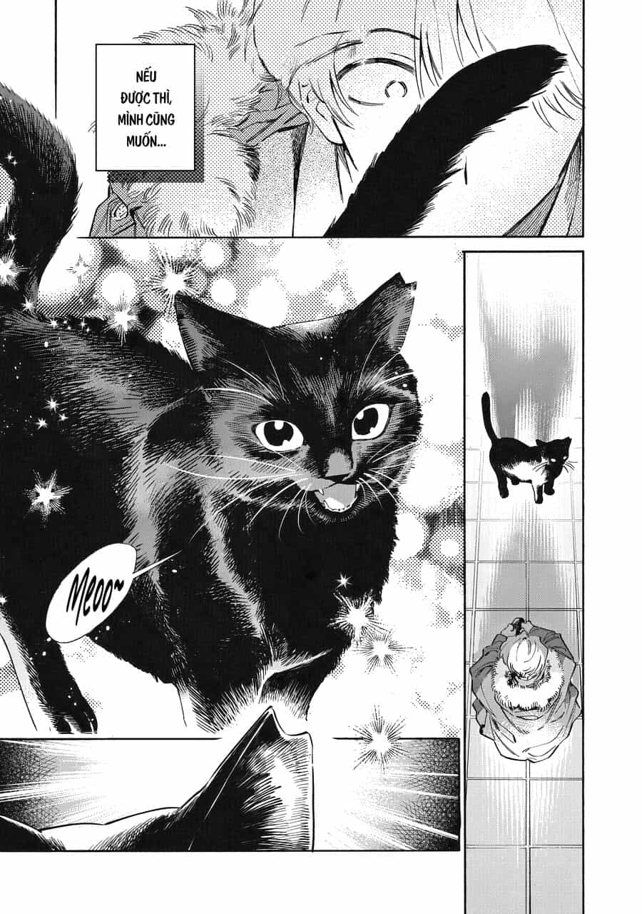 Kurone - Nàng Mèo Chẳng Thể Meow - Chương 1 - ảnh 45