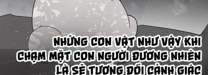 Kỷ Nguyên Siêu Anh Hùng - Chương 70 - ảnh 65