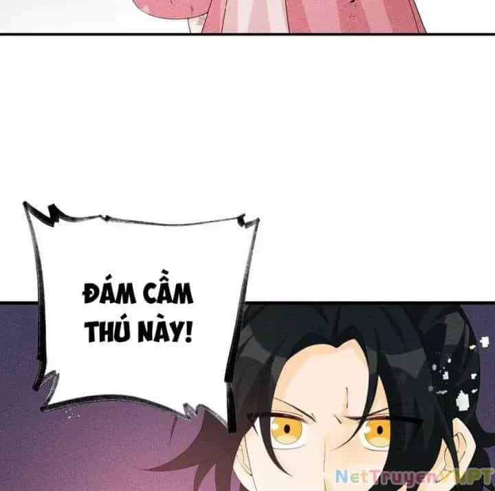 Là Thánh Hoàng Chính Đạo, Ta Cưới Ma Tôn Tà Đạo？！ - Chương 112 - ảnh 34