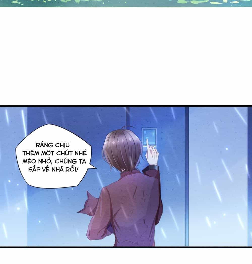 Làm Mèo Của Ta - Chương 1 - ảnh 16