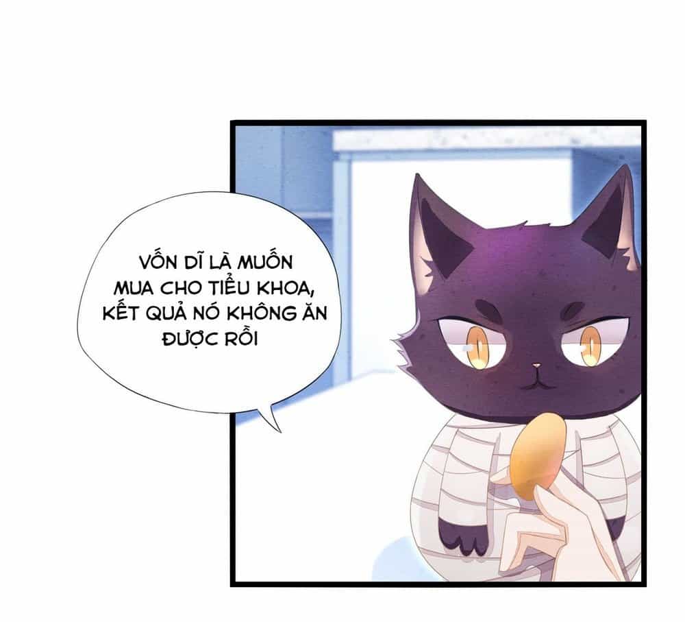 Làm Mèo Của Ta - Chương 2 - ảnh 5