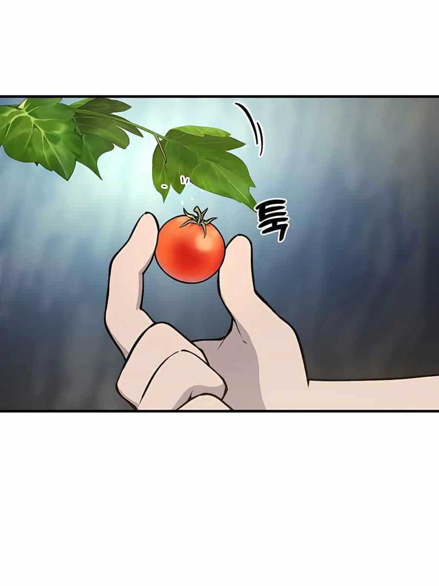 Làm Nông Dân Trong Tòa Tháp Thử Thách - Chương 1 - ảnh 25