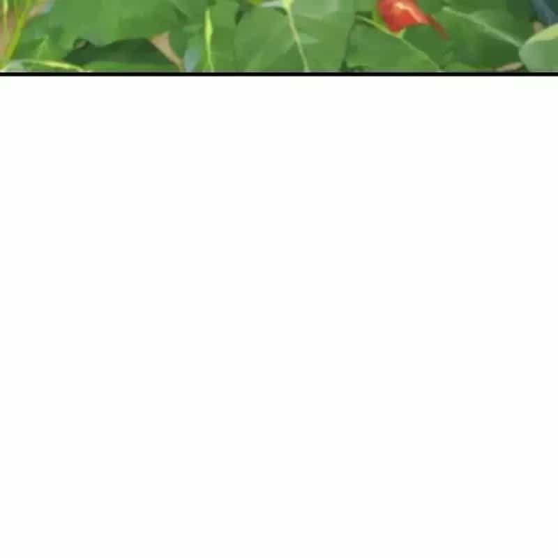 Làm Nông Dân Trong Tòa Tháp Thử Thách - Chương 125 - ảnh 93