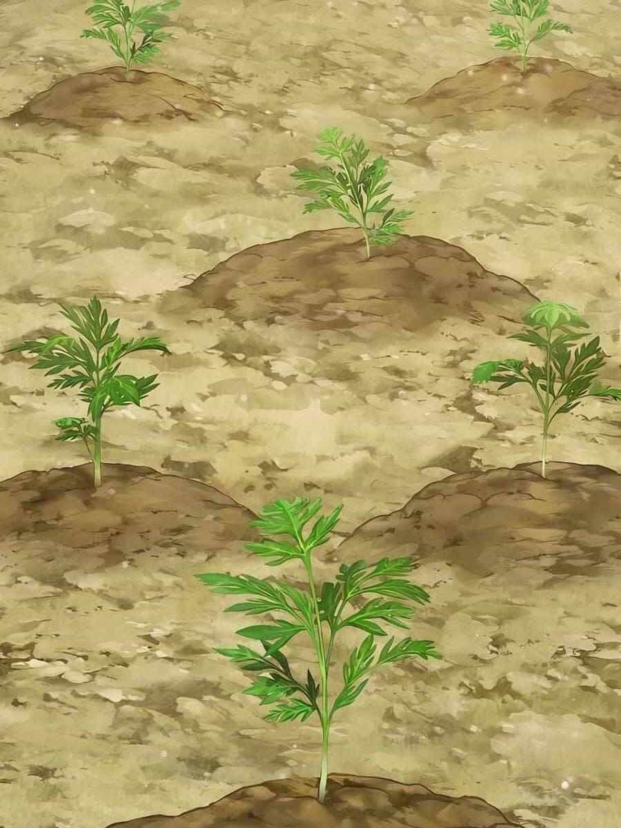 Làm Nông Dân Trong Tòa Tháp Thử Thách - Chương 13 - ảnh 3