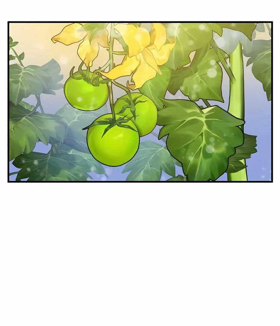 Làm Nông Dân Trong Tòa Tháp Thử Thách - Chương 4 - ảnh 83