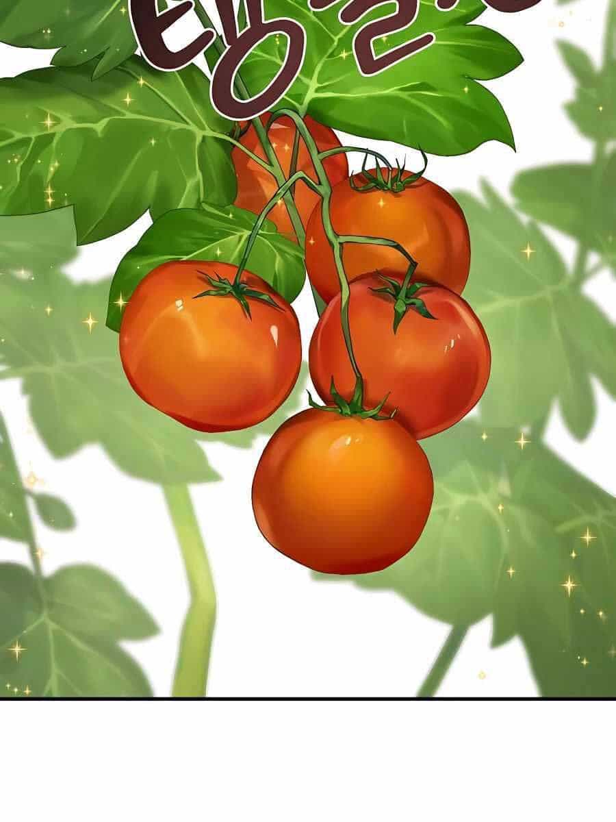 Làm Nông Dân Trong Tòa Tháp Thử Thách - Chương 6 - ảnh 62