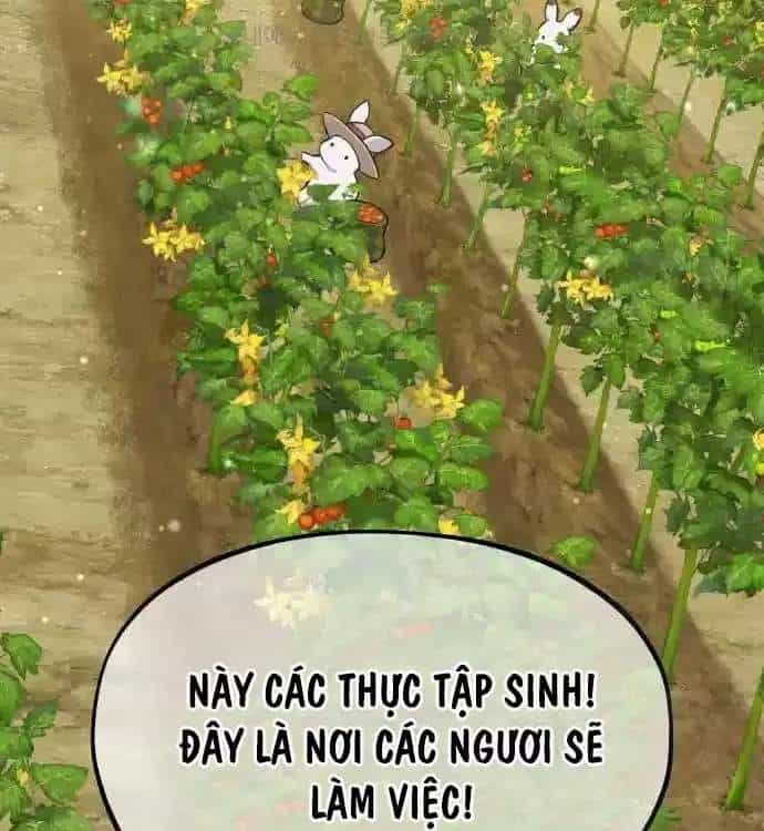 Làm Nông Dân Trong Tòa Tháp Thử Thách - Chương 77 - ảnh 186