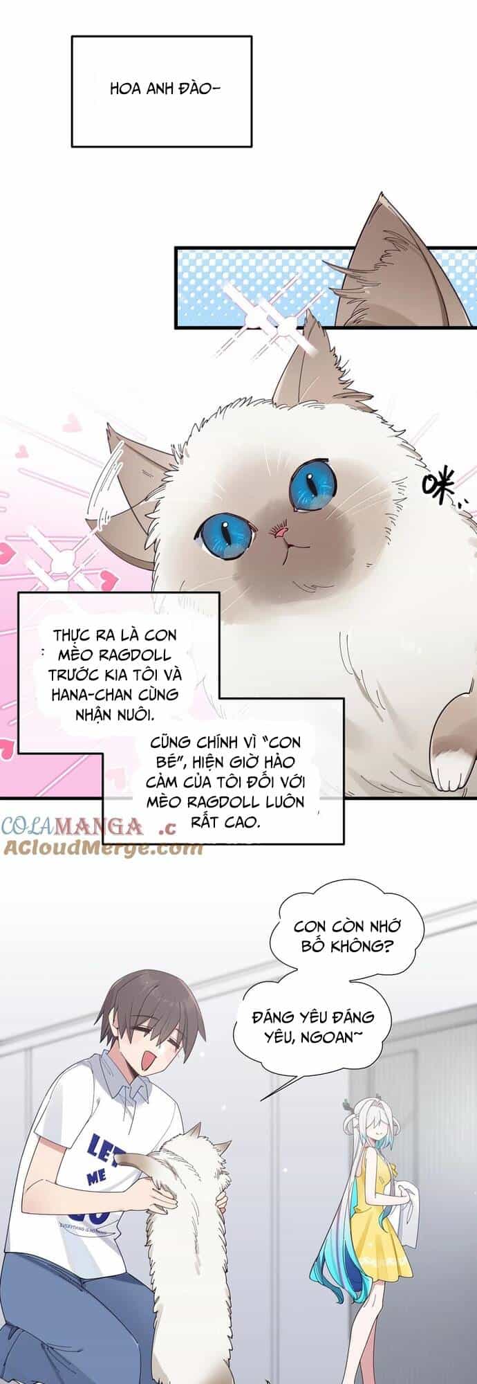 Làm Sao Để Chạy Trốn Dàn Hậu Cung - Chương 137 - ảnh 12