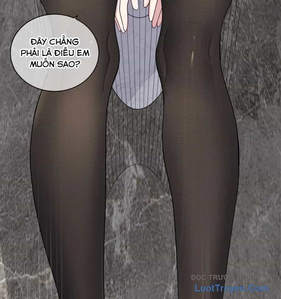 Làm Sao Để Chạy Trốn Dàn Hậu Cung - Chương 187 - ảnh 14