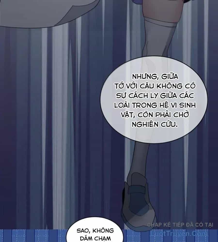 Làm Sao Để Chạy Trốn Dàn Hậu Cung - Chương 196 - ảnh 61