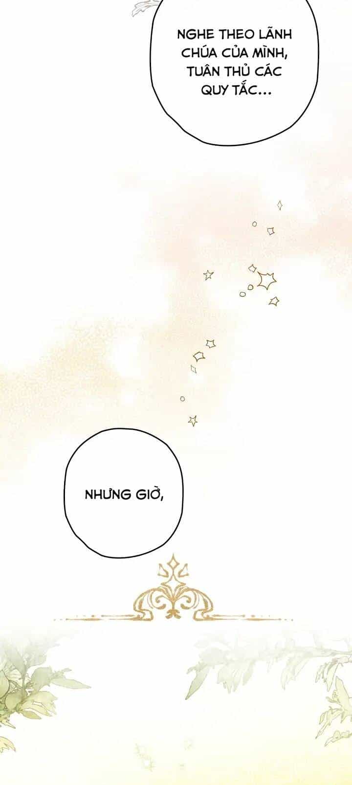 Lần Này Tôi Sẽ Yêu Thương Bản Thân Hơn - Chương 33 - ảnh 55