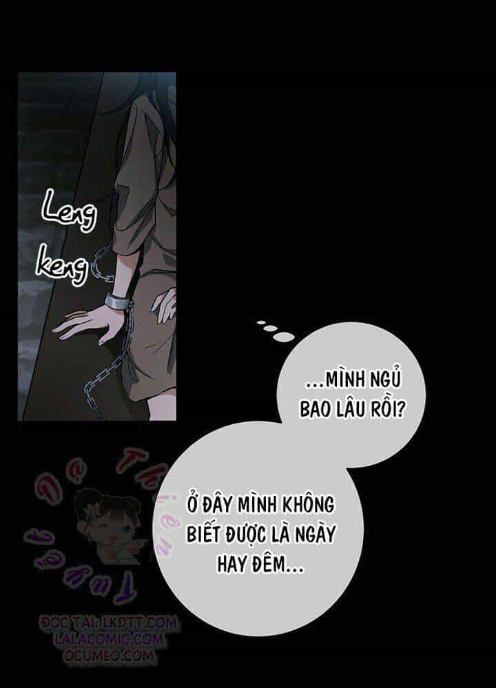 Lần Nữa Toả Sáng - Chương 1 - ảnh 43
