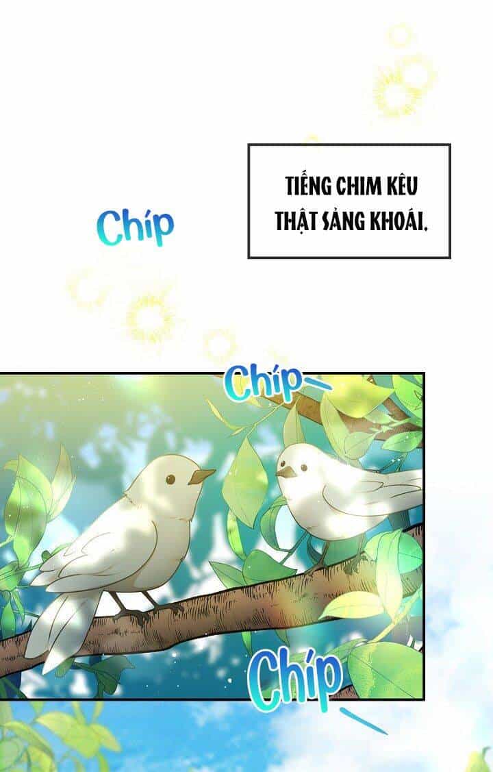 Lần Nữa Toả Sáng - Chương 26 - ảnh 2