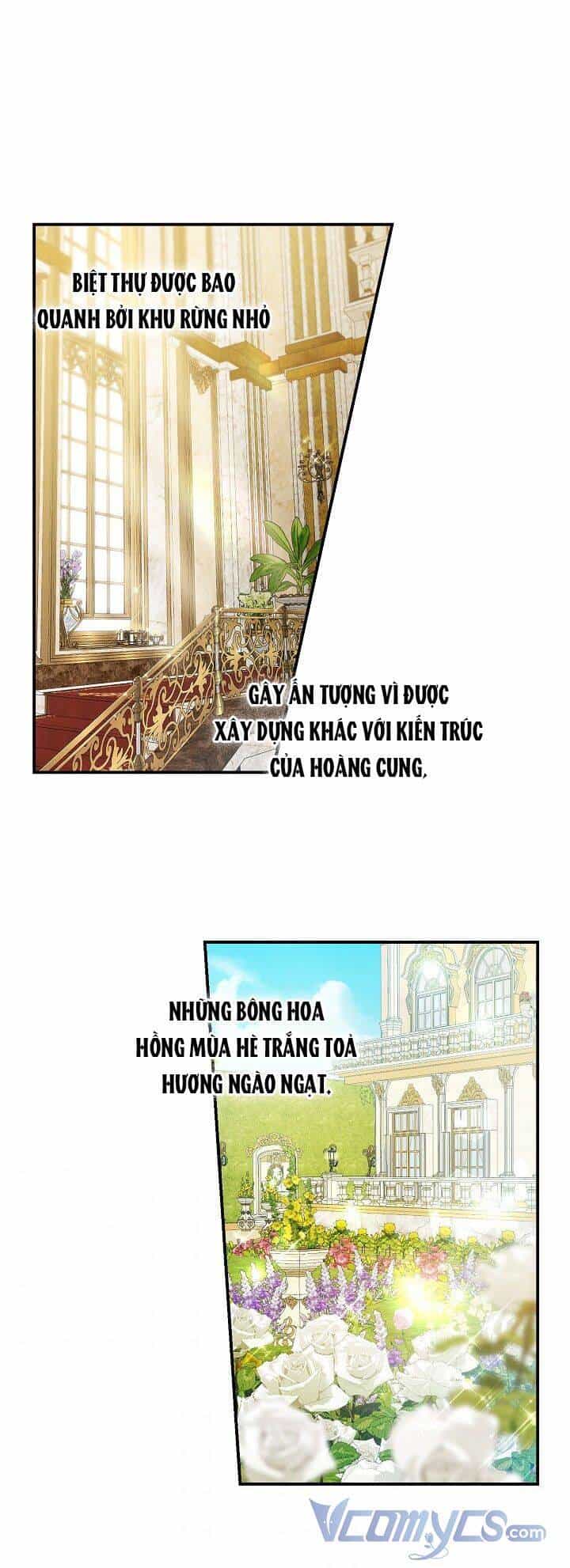 Lần Nữa Toả Sáng - Chương 36 - ảnh 21