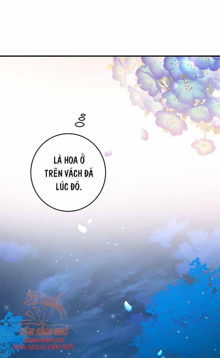 Lần Nữa Toả Sáng - Chương 45 - ảnh 39