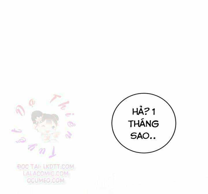 Lần Nữa Toả Sáng - Chương 5 - ảnh 1