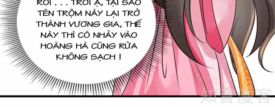 Lãnh Cung Phế Hậu Muốn Nghịch Thiên - Chương 11 - ảnh 16