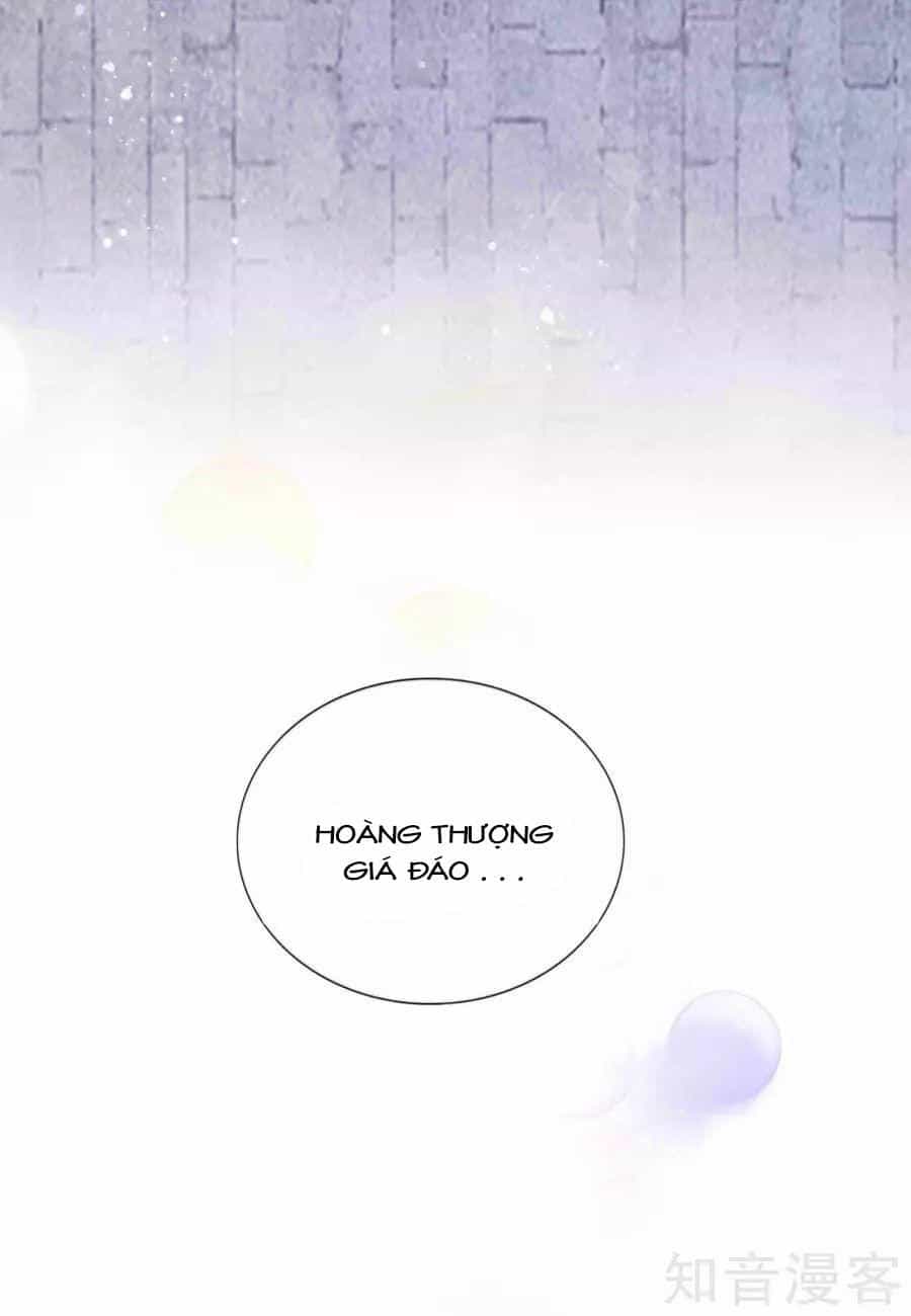 Lãnh Cung Phế Hậu Muốn Nghịch Thiên - Chương 4 - ảnh 12