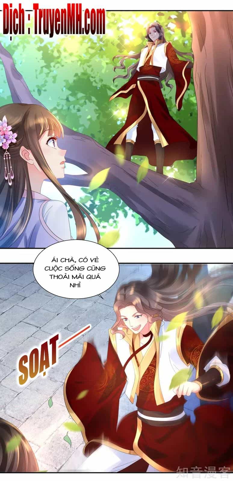 Lãnh Cung Phế Hậu Muốn Nghịch Thiên - Chương 62 - ảnh 4