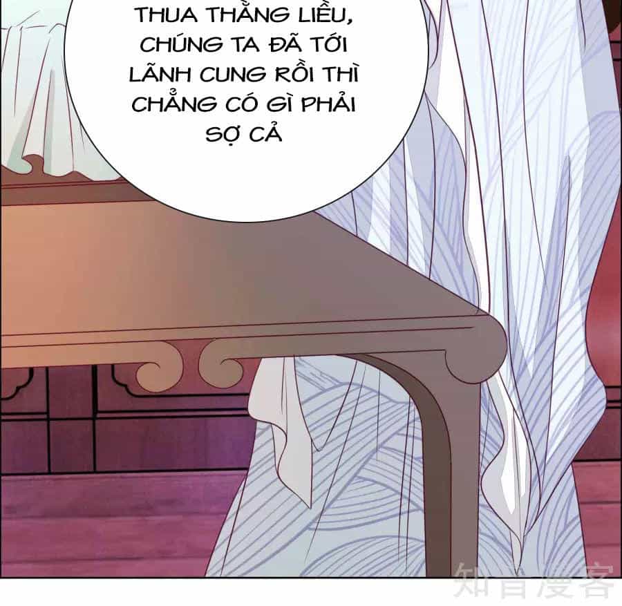Lãnh Cung Phế Hậu Muốn Nghịch Thiên - Chương 7 - ảnh 10
