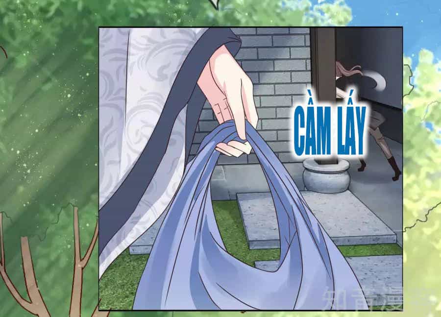 Lãnh Cung Phế Hậu Muốn Nghịch Thiên - Chương 9 - ảnh 15