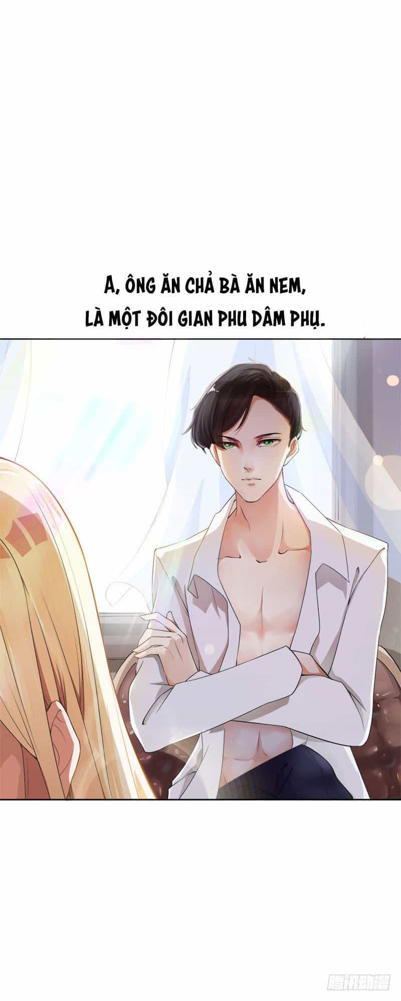 Lãnh Hôn Cuồng Ái - Chương 1 - ảnh 13